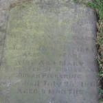 Thomas Pickering family